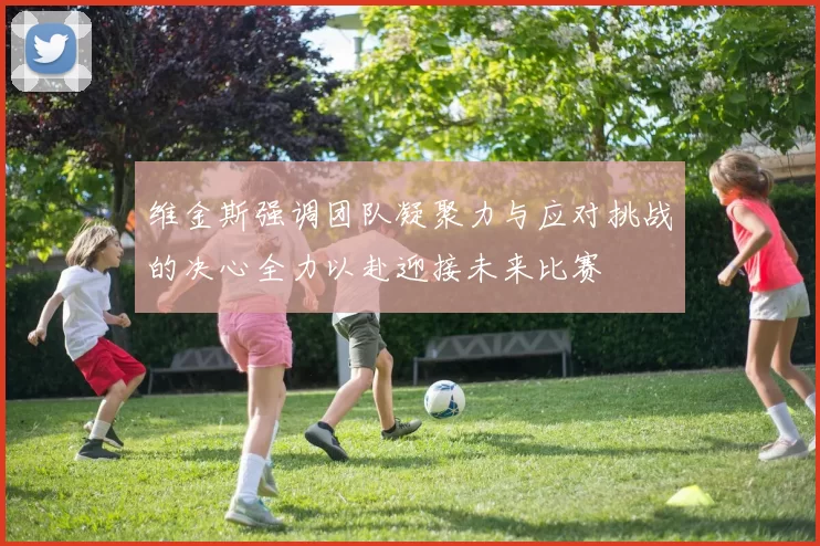 维金斯强调团队凝聚力与应对挑战的决心全力以赴迎接未来比赛