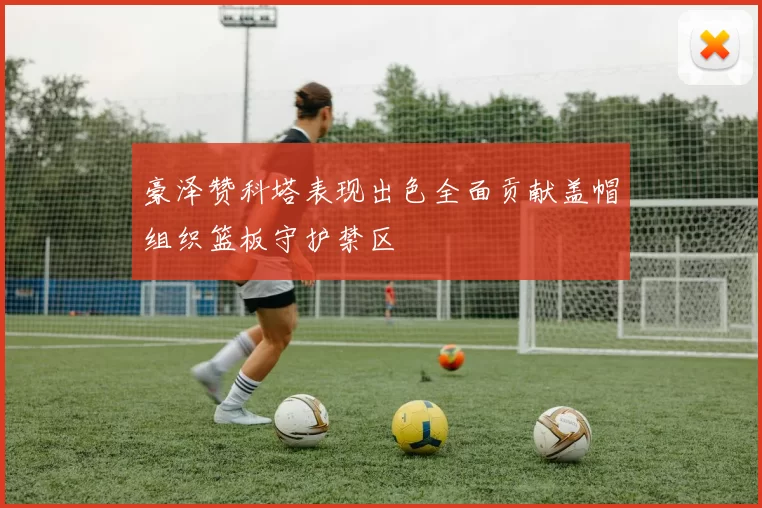 豪泽赞科塔表现出色全面贡献盖帽组织篮板守护禁区